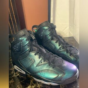Size 8 Brand New Jordans  Original Jordan 6 Chameleon